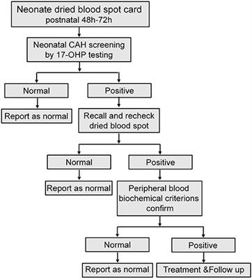 Neonatal Screening and Genotype-Phenotype Correlation of 21-Hydroxylase Deficiency in the Chinese Population